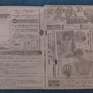 ※応募用紙1枚のみ!! 週刊少年チャンピオン えなこ 応募者全員サービス 応募用紙