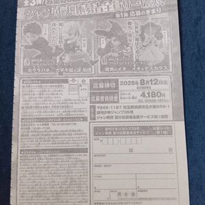 ※応募用紙1枚のみ!!週刊少年ジャンプワールドコレクタブルフィギュア 応募者全員サービス応募用紙
