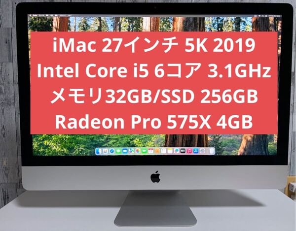 Apple imac 27インチ 5K 2019 i5 3.1GHz メモリ32GB SSD 256GB RP 575X 4GB