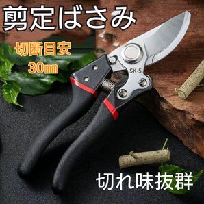 剪定鋏 園芸ハサミ 剪定はさみ 剪定バサミ 園芸 家庭菜園 庭 植木【黒】 ま