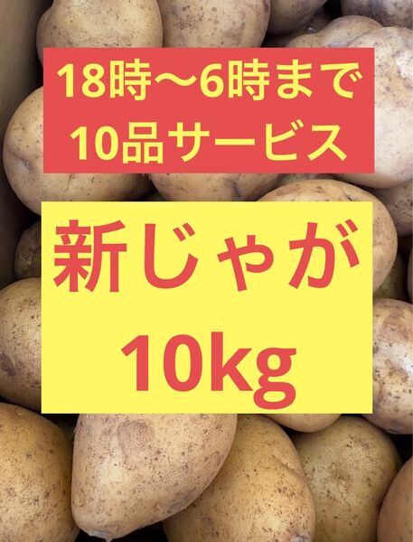12時間だけのサービス 長崎県産 ジャガイモ 10kg