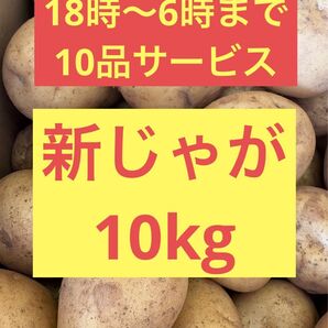 長崎県産 ジャガイモ 10kg
