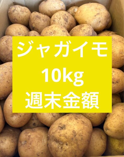 週末サービス 長崎県産 ジャガイモ 10kg