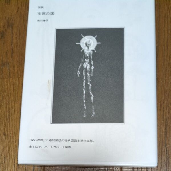 宝石の国 11巻特装版 特典図説