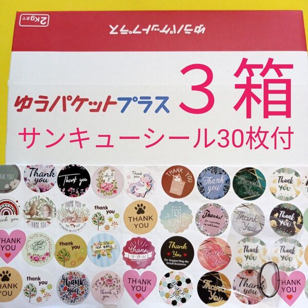 ゆうパケットプラス専用箱3箱 サンキューシール30枚付 ヘアゴム