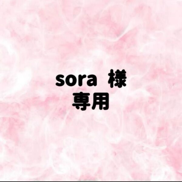 sora 様 専用