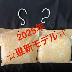 【最安値】最新モデル 帝人アクシア 除湿&消臭 最新モデル 大2個 フック2個 ☆新品未使用☆ミニおりがみ1枚