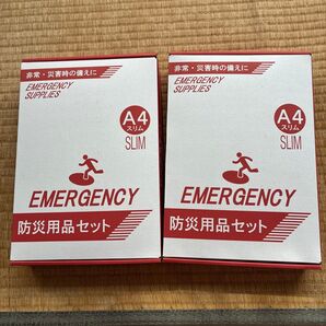 防災用品セット 2個セット A4スリム 未使用
