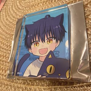 【新品未使用】誰か夢だと言ってくれ みっしぇる アニメイト POPUP アクリルブロック 星川小夜