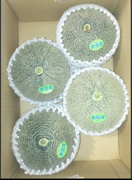 高糖度タカミメロン約5kg 1箱3~4玉
