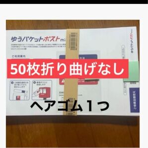 ポストミニ50枚(ヘアゴム1つ)