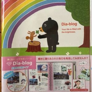 【新品、未使用】ダイアブログ レインボー 1260 円 B1