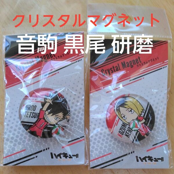 ハイキュー!! クリスタルマグネット 2個セット 音駒 黒尾鉄朗 孤爪研磨 クロ 研磨 かわいい