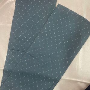 薄物 夏着物 夏紬 小紋 美品 前幅たっぷり