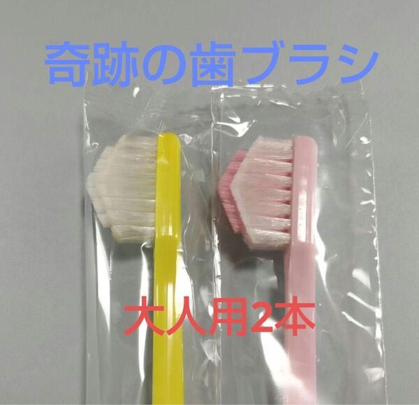 新品★奇跡の歯ブラシポケットイン大人用イエロー/ピンク2本セット
