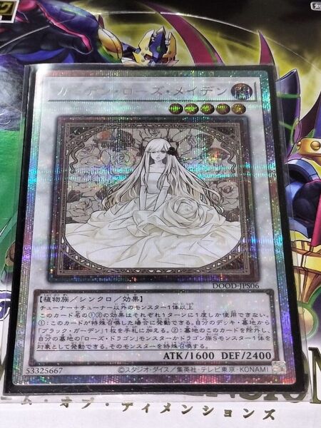 遊戯王 ガーデンローズ・メイデン プリズマティックシークレットレア 絵違い