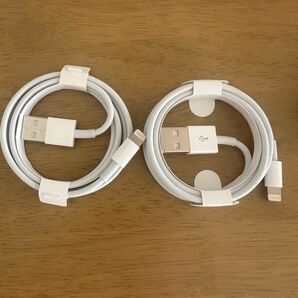 新品 Apple純正品 USB タイプA to ライトニングケーブル