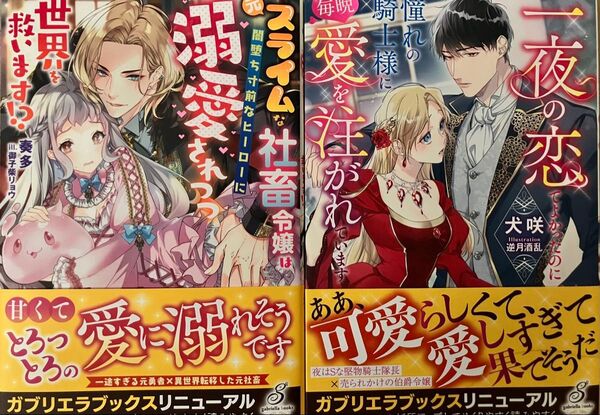一夜の恋でよかったのに憧れの騎士様に毎晩愛を注がれています./元スライムな社畜令嬢は/特典SS応募券等なし