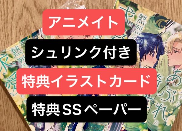 特典2種 アニメイト 特典イラストカード 特典SS リーフレット 聖女様の逆ハーレムからあぶれた騎士様に熱烈に求愛されている件