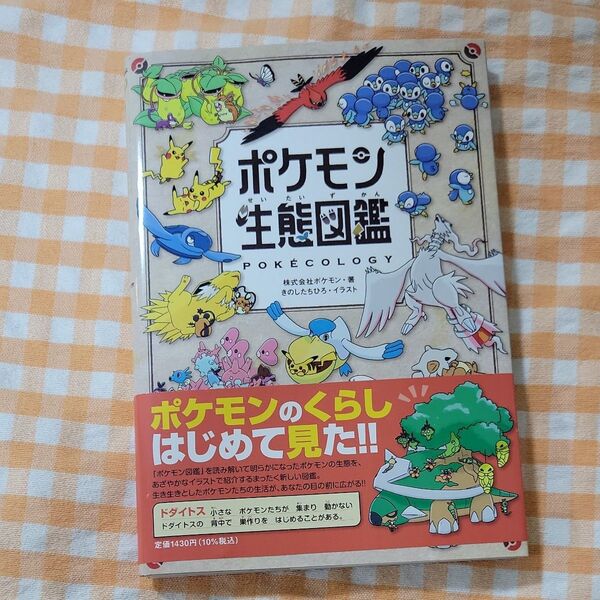 ポケモン生態図鑑 ポケモン/著 きのしたちひろ/イラスト