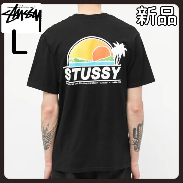 ステューシー Tシャツ 半袖 STUSSY メンズ バッグロゴブラックL