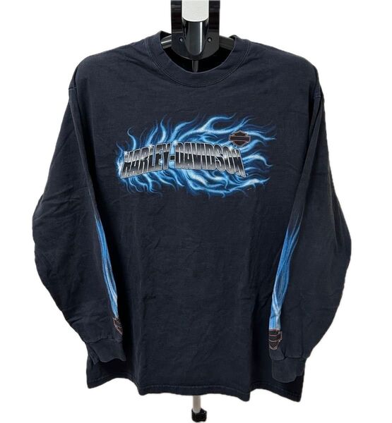 harley davidson ロンT ブルーフレイム ロングスリーブ ハーレーダビッドソン 長袖Tシャツ 古着 ストリート
