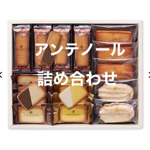 アンテノール クッキーアソート 21個入 詰め合わ フィナンシェ レーズンサンド ラングドシャ ビスキュイ