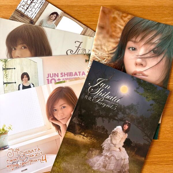 柴田淳 ライブツアーパンフレット まとめ販売 Jun Shibata