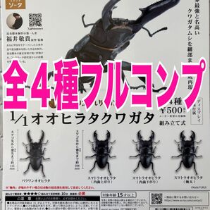 アニマリエ 1/1 オオヒラタクワガタ 全4種 ガチャ