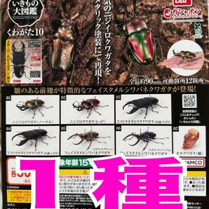 いきもの大図鑑 くわがた10弾 1種 ガチャ