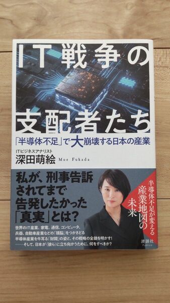 IT戦争の支配者たち 深田萌絵