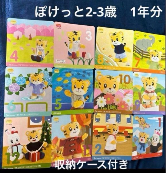 ぽけっと DVD こどもちゃれんじぽけっと しまじろう ベネッセ