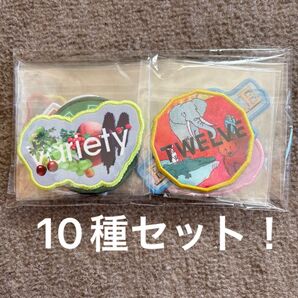 Mrs. GREEN APPLE 10 ゲームシャツワッペン 全10種