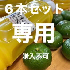 沖縄県産青切りシークヮーサー果汁100% 500ml 3本セットペットボトル 大宜味産