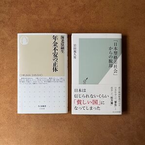 『日本型格差社会』からの脱却 × 『年金不安の正体』 2冊セット