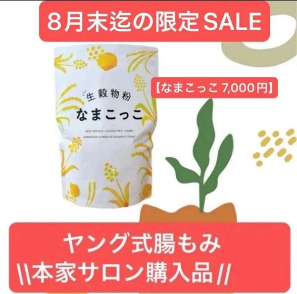 夏応援SALE! 新品未開封 ヤング式腸もみ本家 なまこっこ ハッピータミーティー ①