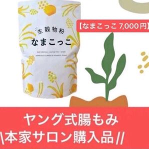 10%ポイント還元キャンペーン 新品未開封 ヤング式腸もみ本家 なまこっこ ハッピータミーティー 4