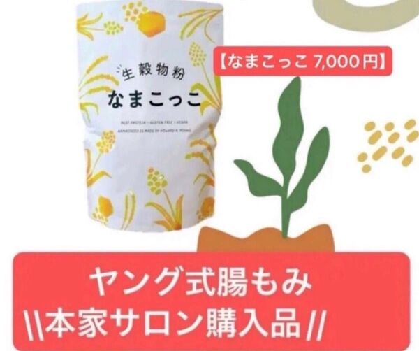 10%ポイント還元キャンペーン 新品未開封 ヤング式腸もみ本家 なまこっこ ハッピータミーティー 5