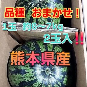 (家庭用)熊本県産 品種お任せ!1玉約6~7kg 2玉入