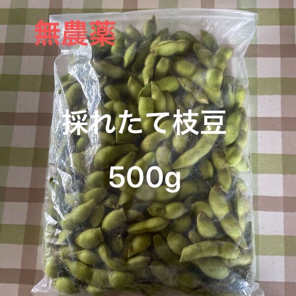 無農薬 枝豆 500g