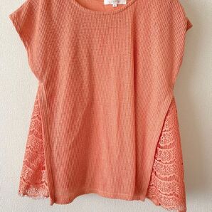 grove Tシャツ 半袖 カットソー 半袖ニット