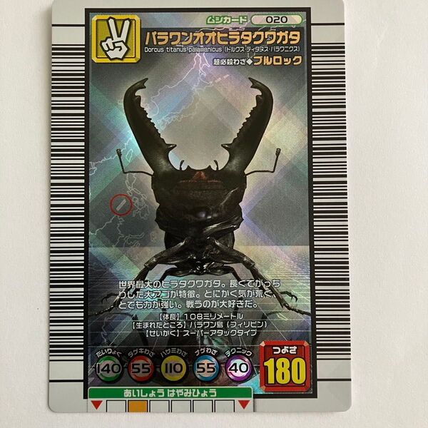 パラワンオオヒラタクワガタ ムシキングカード 2005セカンド