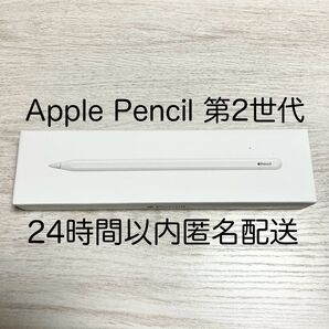 ★動作確認済★ アップルペンシル 第2世代 Apple Pencil