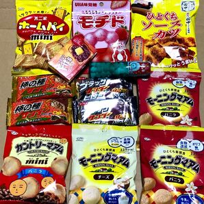1 お得10個以上 チョコレート カントリーマアム ホームパイ クーポン利用 ポイント お菓子詰め合わせ