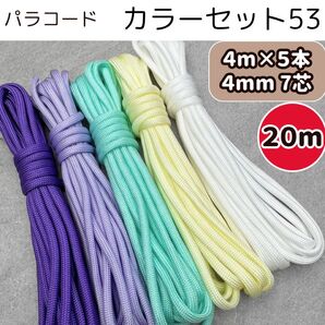 パラコード 編み物 リード 白 紫 黄色 ティファニー 青 犬 ストラップ 首輪 ショルダー パステル スマホ テント 猫