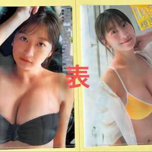 榎原依那 月刊少年チャンピオン付録クリアファイル2枚とポスター2枚