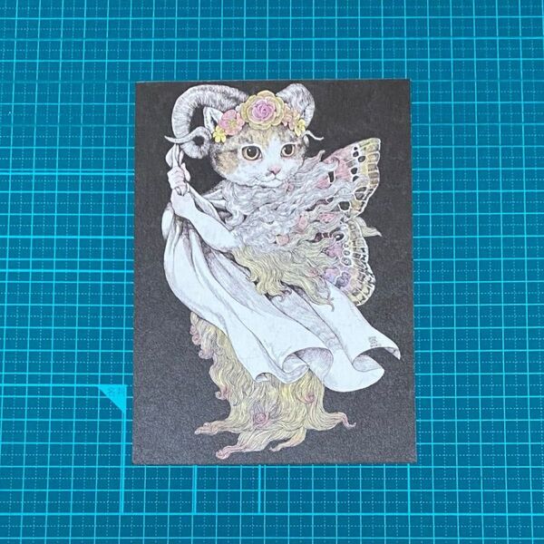 ポストカード「BORIS(蝶々のような)」2013 絵葉書 ヒグチユウコ