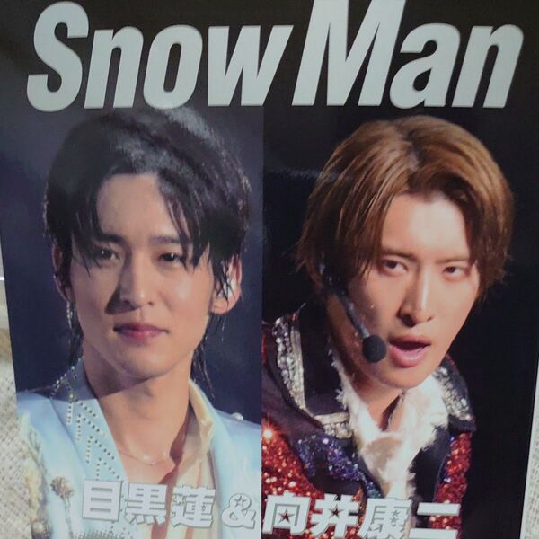 SnowMan 目黒蓮&向井康二