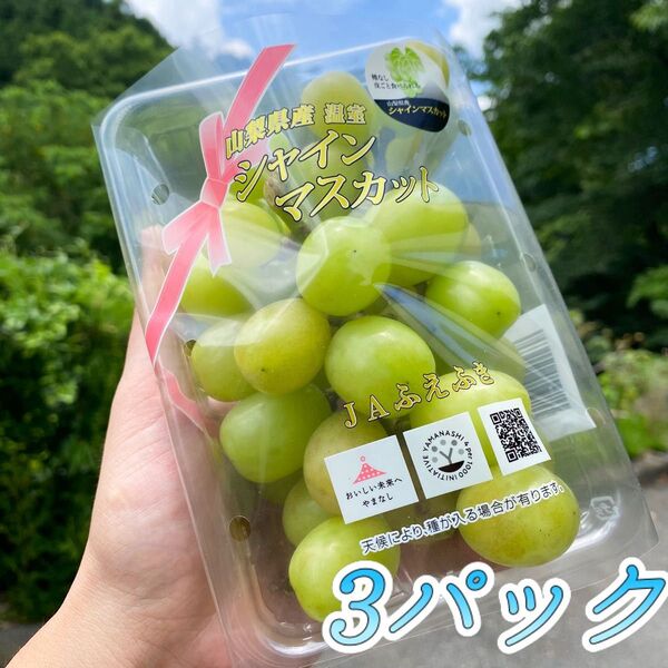 山梨県産 訳あり 家庭用 温室 シャインマスカット 3パック ②