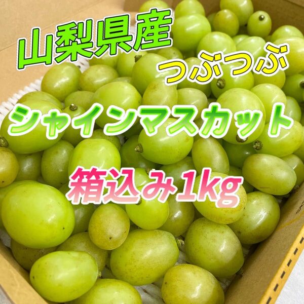 山梨県産 訳あり 家庭用 シャインマスカット 粒々 1kg コンパクト ②